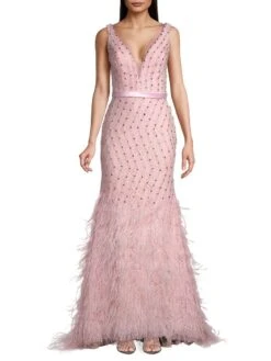 Feather Embellished Plunge V-Neck Gown -Cheap Clothing Store 0400016701053 SOFTPINK A1