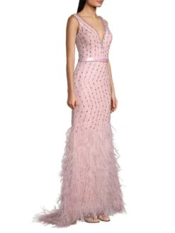 Feather Embellished Plunge V-Neck Gown -Cheap Clothing Store 0400016701053 SOFTPINK A2