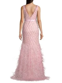 Feather Embellished Plunge V-Neck Gown -Cheap Clothing Store 0400016701053 SOFTPINK A3