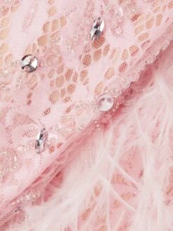 Feather Embellished Plunge V-Neck Gown -Cheap Clothing Store 0400016701053 SOFTPINK A6